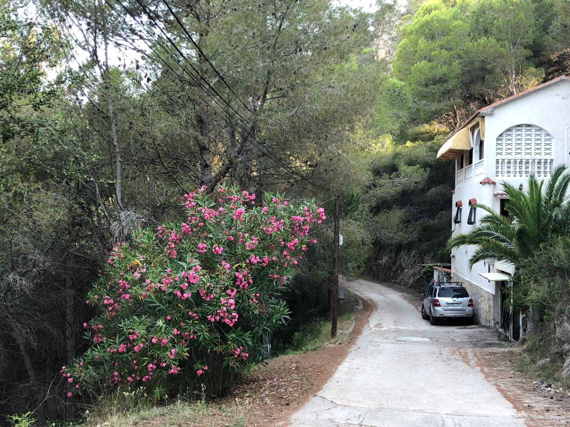 Almisera Villa Almiserat Dış mekan fotoğraf